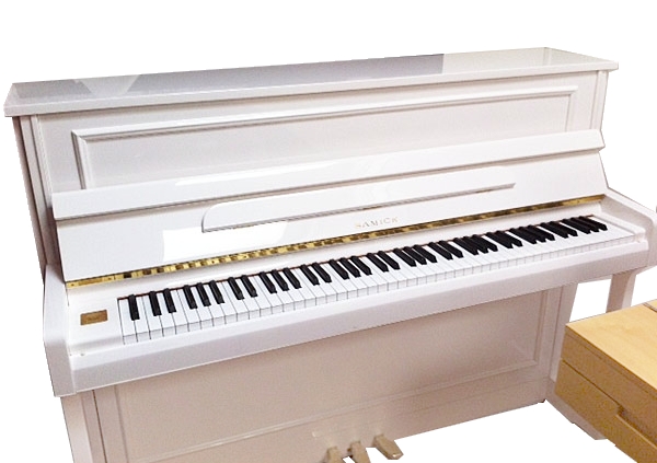 Samick JS112RID/WHHP по цене 583&nbsp;990 ₽