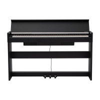 Rockdale Virtuoso 256 BK