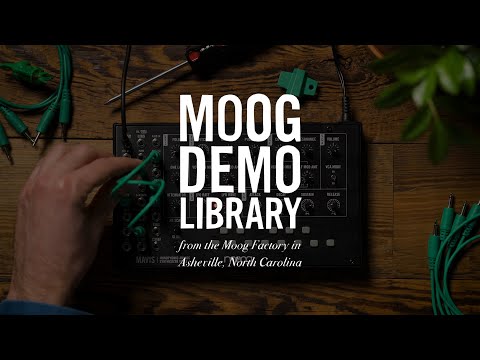 Moog Mavis по цене 31&nbsp;360 ₽