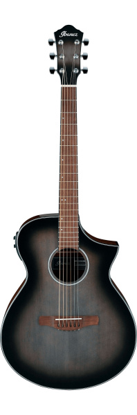 Ibanez AEWC11-TCB по цене 41&nbsp;790 ₽