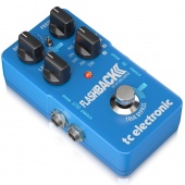 TC Electronic FLASHBACK 2 DELAY по цене 13&nbsp;990 ₽