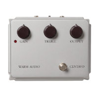 Warm Audio WA-CVS Limited Edition Silver Centavo по цене 17&nbsp;820 ₽