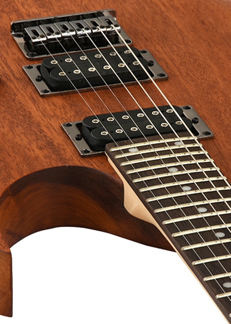 Ibanez RG421-MOL Mahogany Oil по цене 50&nbsp;990 ₽