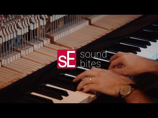 sE Electronics RN17 по цене 71&nbsp;160.00 ₽