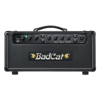 Bad Cat Hot Cat 30 Reverb Head по цене 378&nbsp;110 ₽