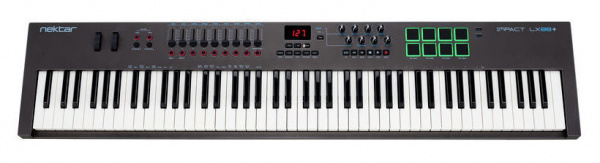 Nektar Impact LX 88+ по цене 35&nbsp;990 ₽
