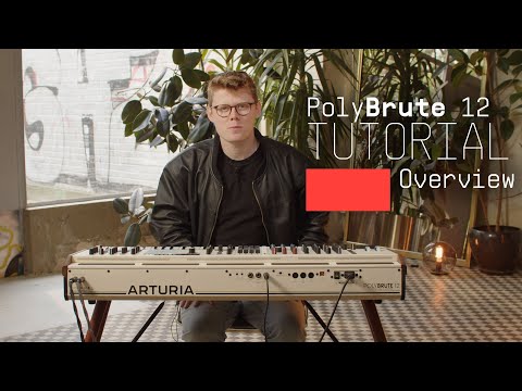 Arturia Polybrute 12 по цене 399&nbsp;490 ₽