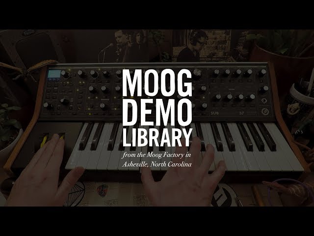 Moog Subsequent 37 по цене 201&nbsp;600 ₽