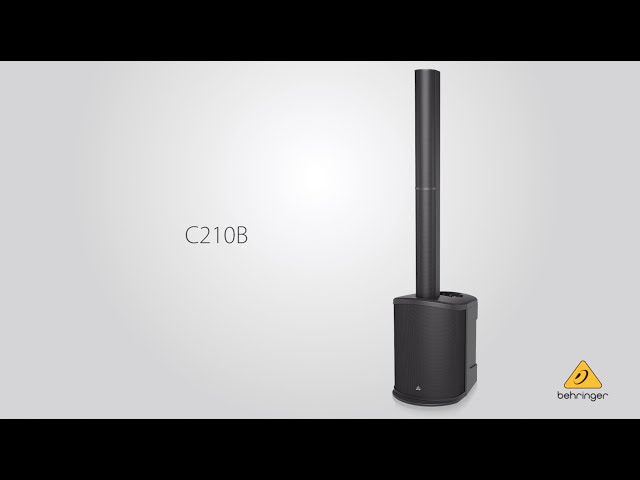 Behringer C210B по цене 43&nbsp;110 ₽