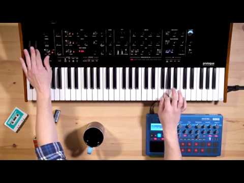 Korg Prologue 8 по цене 132&nbsp;000 ₽