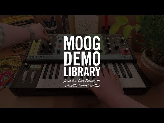 Moog Grandmother по цене 124&nbsp;120 ₽
