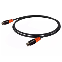 Bespeco SLMM300