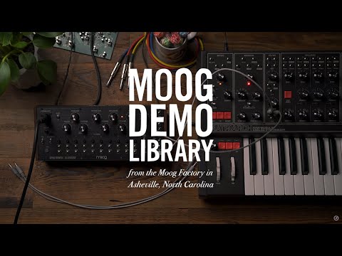 Moog Spectravox по цене 67&nbsp;810 ₽