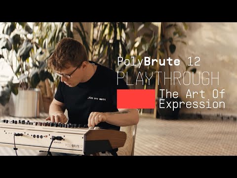 Arturia Polybrute 12 по цене 399&nbsp;490 ₽