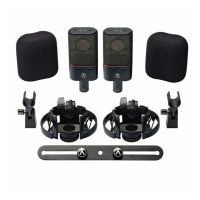 Austrian Audio OC18 Dual Set Plus по цене 219&nbsp;990 ₽