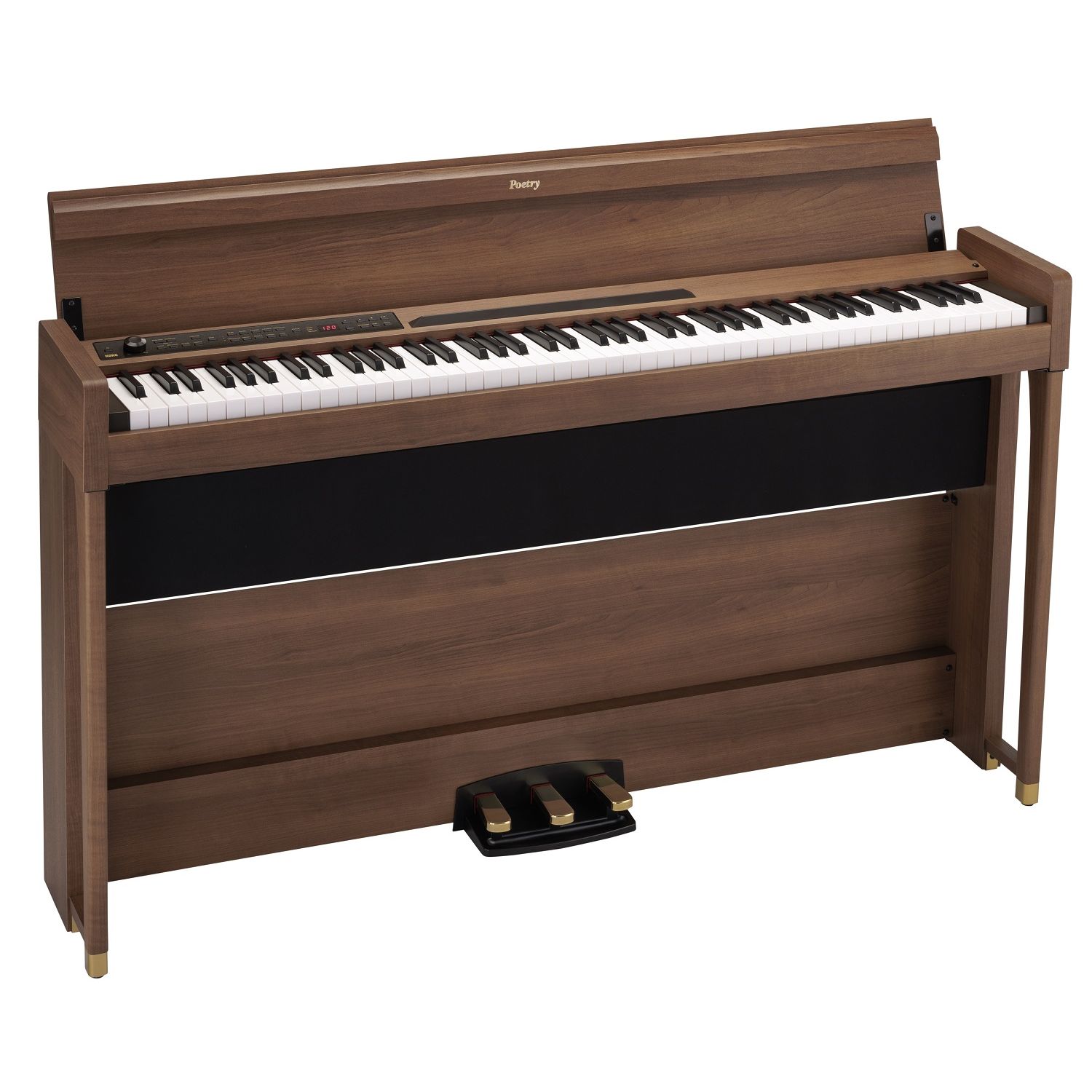 Korg Poetry по цене 168&nbsp;290 ₽