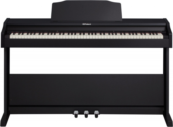 Roland RP102-BK по цене 149&nbsp;360 ₽