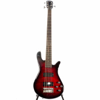 Spector Legend 5 Standard Black Cherry по цене 60&nbsp;600 ₽