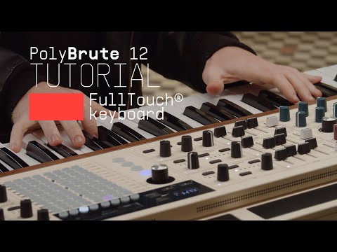 Arturia Polybrute 12 по цене 399&nbsp;490 ₽