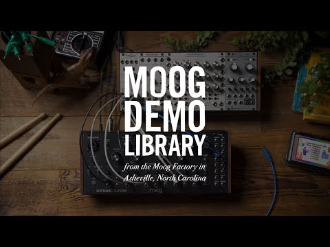 Moog Spectravox по цене 67&nbsp;810 ₽