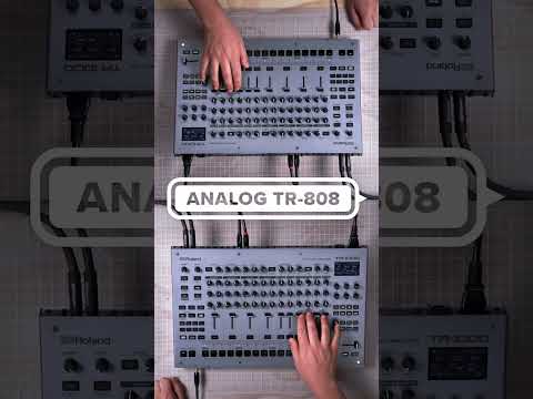 Roland TR-1000 по цене 322&nbsp;560 ₽