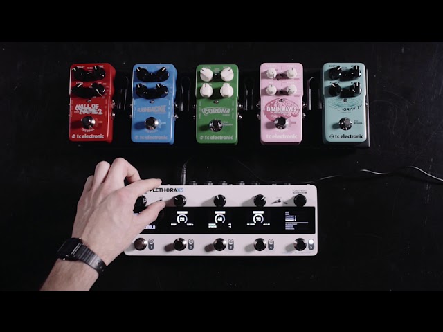 TC Electronic Plethora X5 по цене 55&nbsp;990 ₽