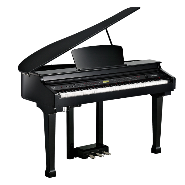Kurzweil KAG100 EP по цене 212&nbsp;740 ₽