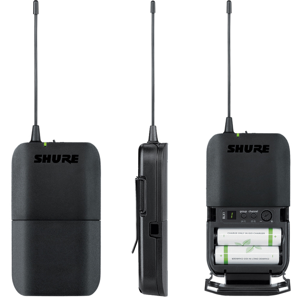 Shure BLX188E/SM35 M17 по цене 123&nbsp;150 ₽