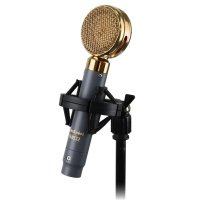 AuraSonics LENS32