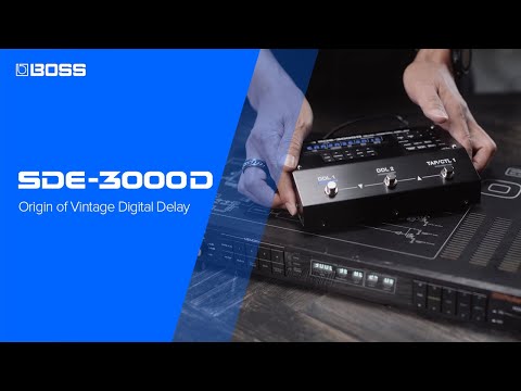 Boss SDE-3000 Dual Delay по цене 48&nbsp;950 ₽