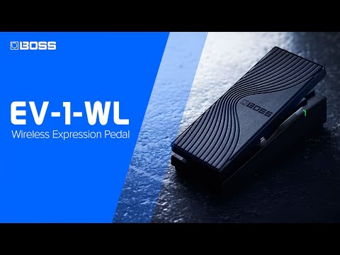 Boss EV-1-WL по цене 15&nbsp;130 ₽