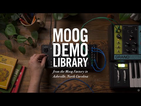 Moog Spectravox по цене 67&nbsp;810 ₽