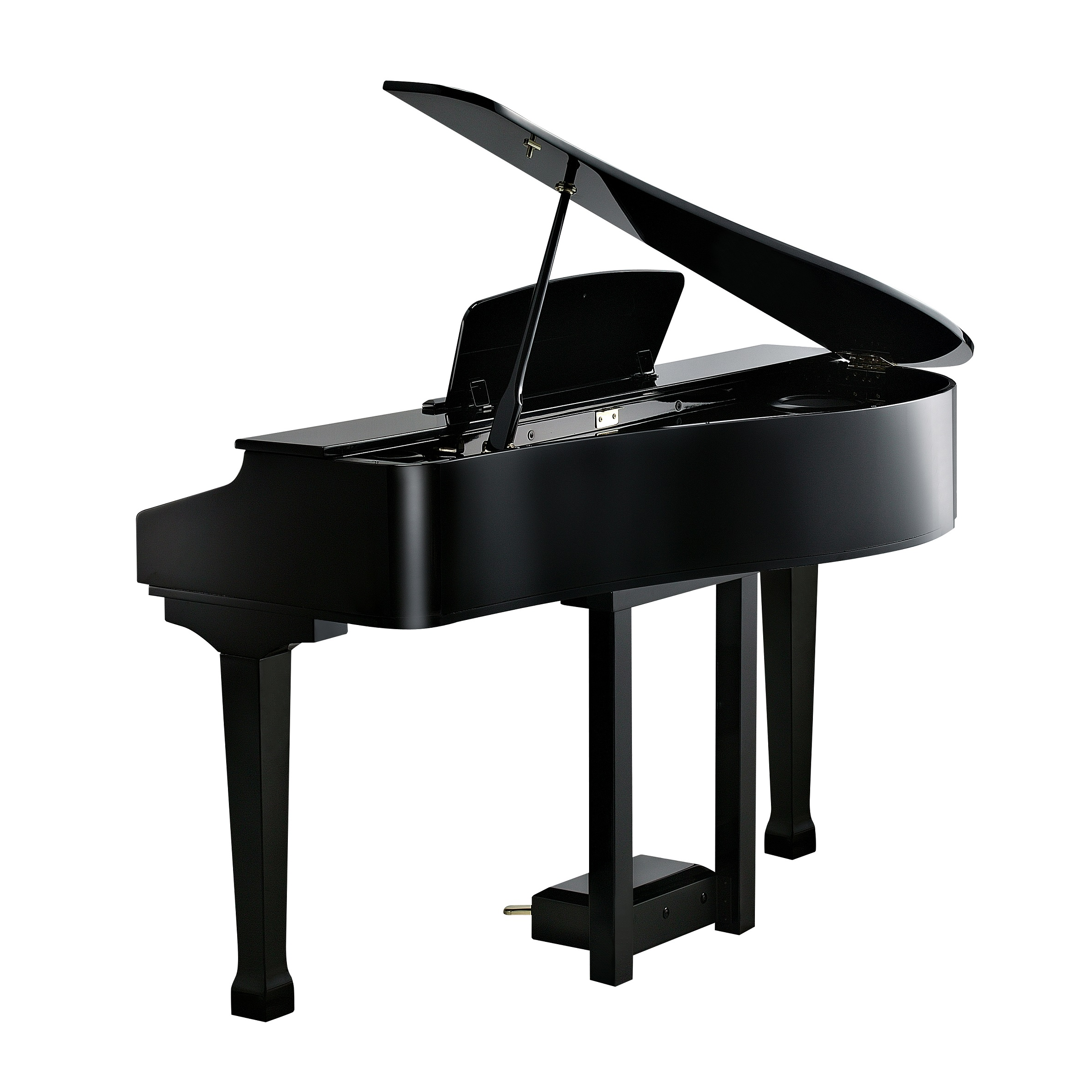Kurzweil KAG100 EP по цене 212&nbsp;740 ₽