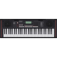 Roland E-X10 по цене 26&nbsp;110 ₽