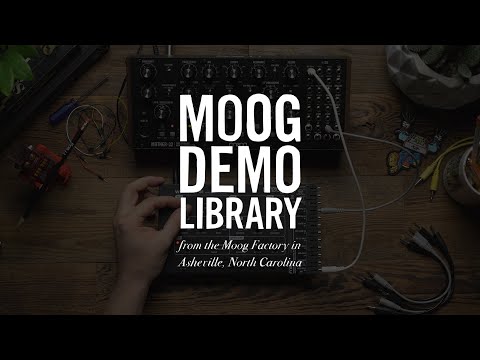 Moog Werkstatt-01 and CV Expander по цене 16&nbsp;400 ₽