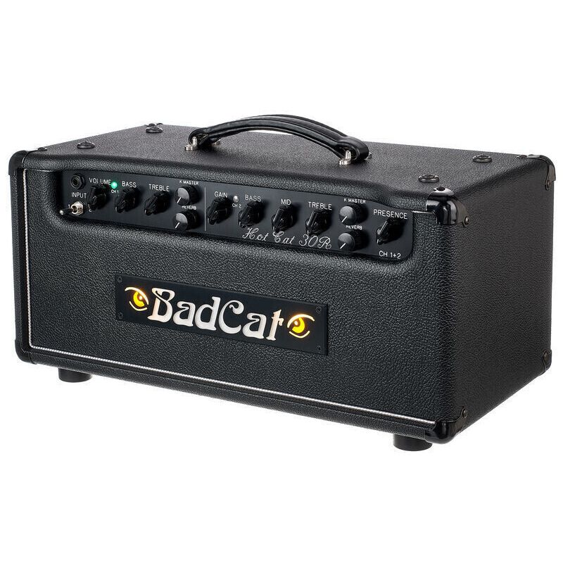 Bad Cat Hot Cat 30 Reverb Head по цене 378&nbsp;110 ₽
