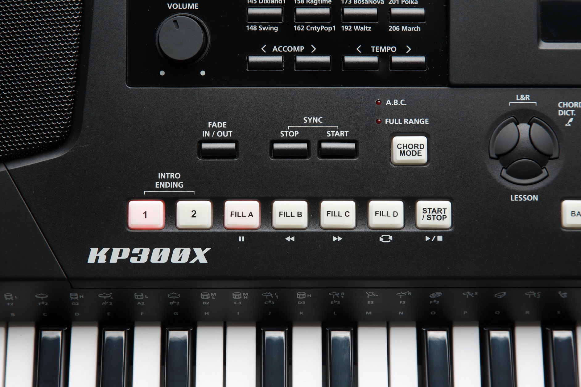 Kurzweil KP300X LB по цене 74&nbsp;990 ₽