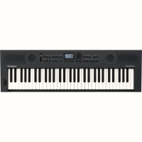 Roland Go:Keys 5 Graphite по цене 64&nbsp;830 ₽