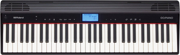 Roland GO-61P по цене 34&nbsp;810 ₽