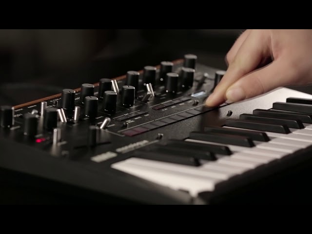 Korg Monologue-BK по цене 44&nbsp;890 ₽