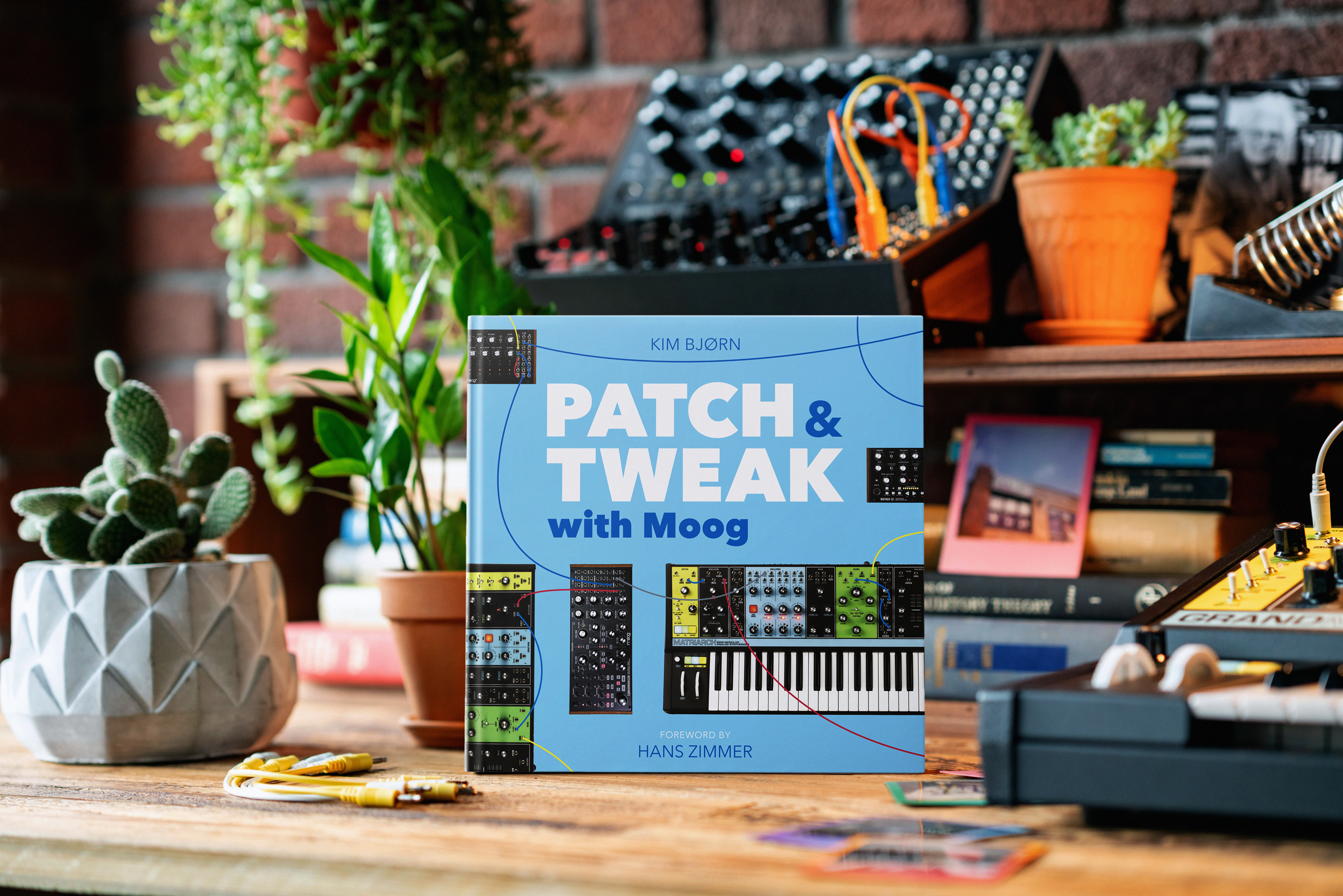 BJOOKS PATCH & TWEAK with Moog по цене 6&nbsp;000 ₽