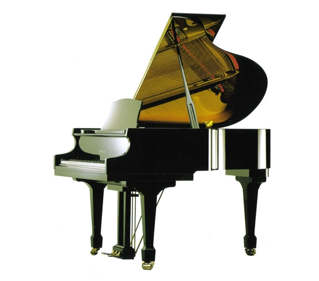 Samick SIG54D/EBHP по цене 1&nbsp;159&nbsp;990 ₽