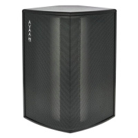 PSI AUDIO AVAA C20 Graphite Black по цене 241&nbsp;480 ₽