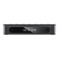 FIIO DM13 (F3491D) Black по цене 15&nbsp;090 ₽
