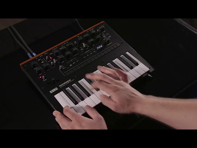 Korg Monologue-BK по цене 44&nbsp;890 ₽
