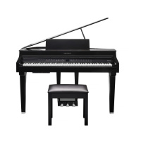 Kurzweil CUP G1W BP по цене 361&nbsp;860 ₽