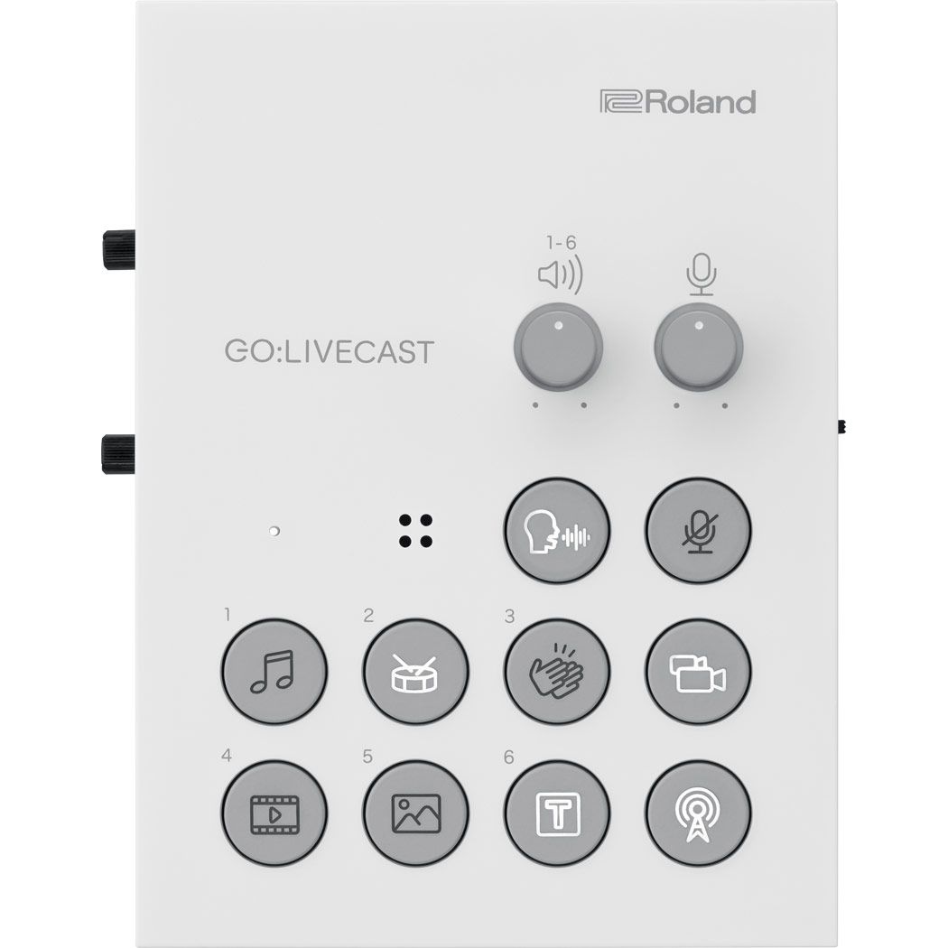 Roland Go:Livecast по цене 26&nbsp;100 ₽