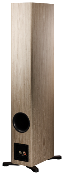 Dynaudio Evoke 50 Blonde Wood по цене 535&nbsp;000 ₽
