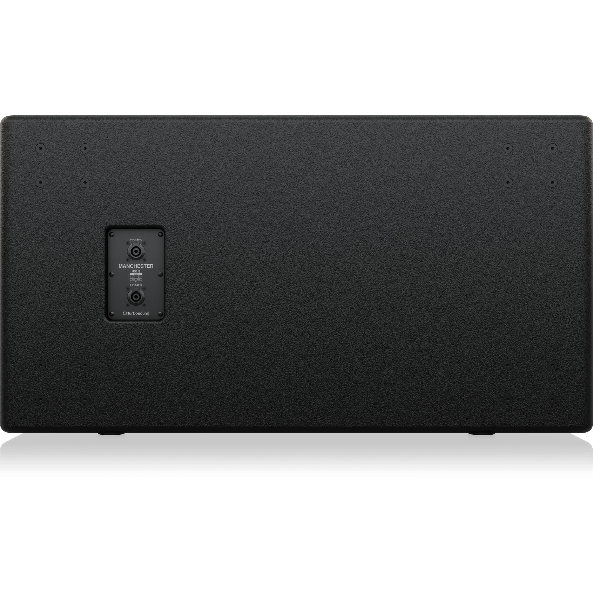 Turbosound Manchester MS218 по цене 335&nbsp;990 ₽