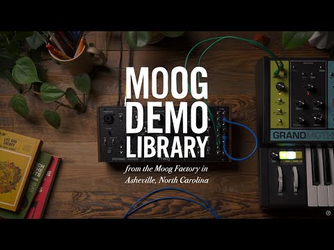 Moog Spectravox по цене 67&nbsp;810 ₽